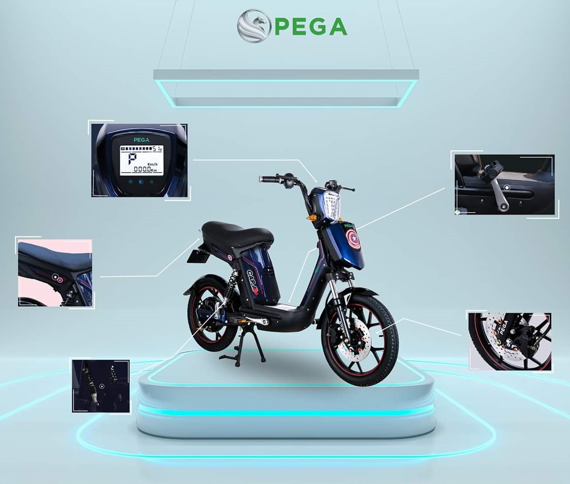 Xe đạp điện Pega cap A9 cũ